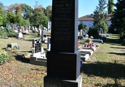 Teplice, Omnium, 2020