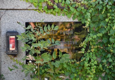 Teplice, Omnium, 2020