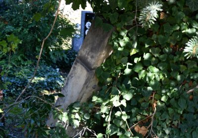 Teplice, Omnium, 2020