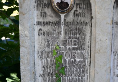 Teplice, Omnium, 2020