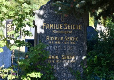 Teplice, Omnium, 2020