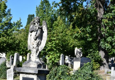 Teplice, Omnium, 2020