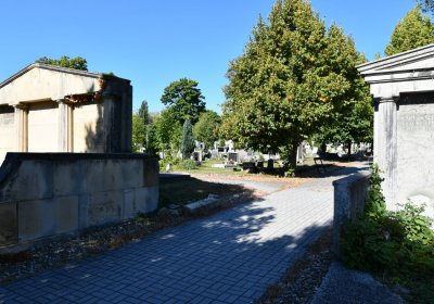 Teplice, Omnium, 2020