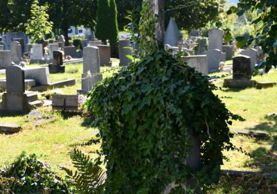 Teplice, Omnium, 2020