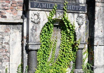 Teplice, Omnium, 2020