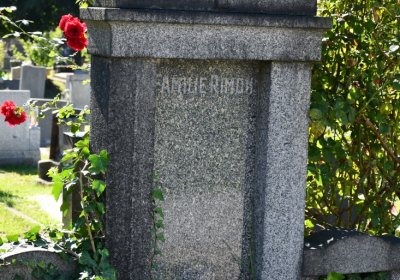 Teplice, Omnium, 2020