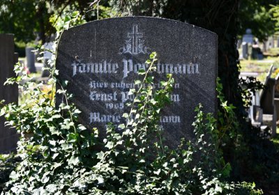 Teplice, Omnium, 2020