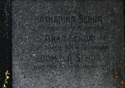 Teplice, Omnium, 2020