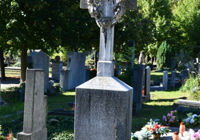 Teplice, Omnium, 2020