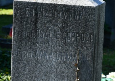 Teplice, Omnium, 2020