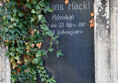 Teplice, Omnium, 2020