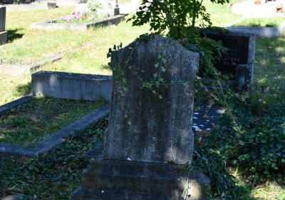 Teplice, Omnium, 2020