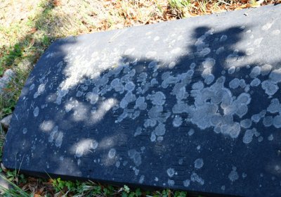 Teplice, Omnium, 2020