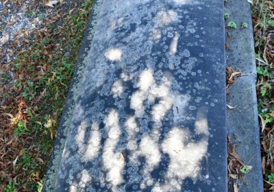 Teplice, Omnium, 2020