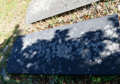 Teplice, Omnium, 2020