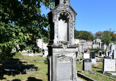 Teplice, Omnium, 2020