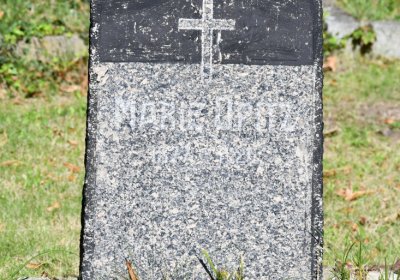 Teplice, Omnium, 2020