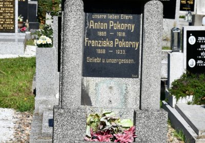 Teplice, Omnium, 2020