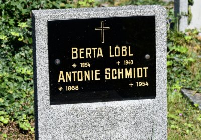 Teplice, Omnium, 2020