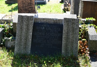 Teplice, Omnium, 2020