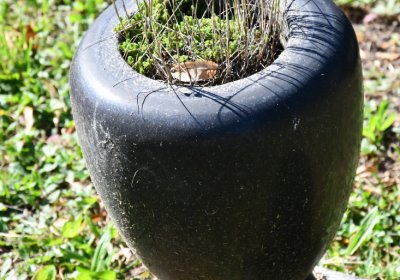 Teplice, Omnium, 2020