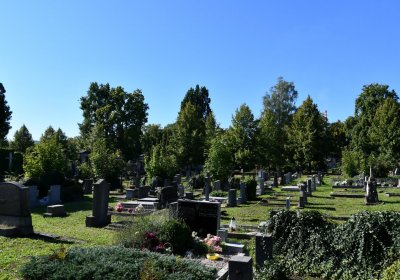 Teplice, Omnium, 2020