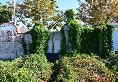 Teplice, Omnium, 2020