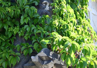 Teplice, Omnium, 2020