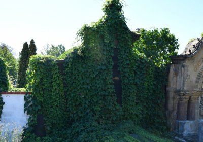 Teplice, Omnium, 2020