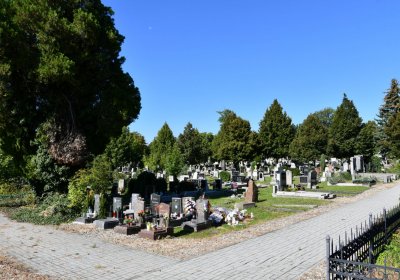 Teplice, Omnium, 2020