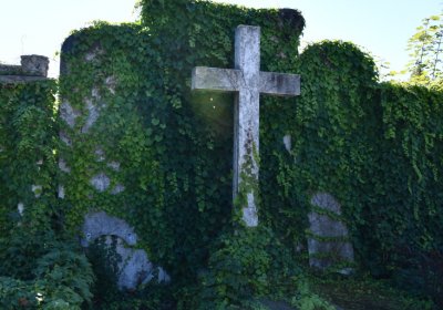 Teplice, Omnium, 2020