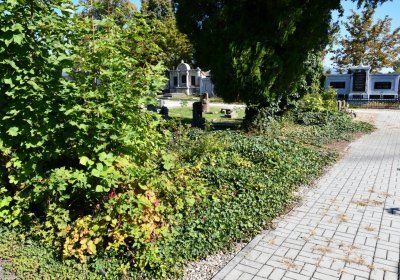 Teplice, Omnium, 2020