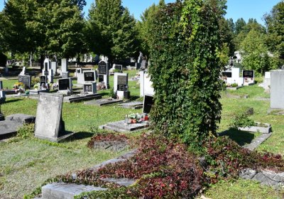 Teplice, Omnium, 2020