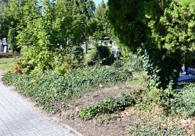 Teplice, Omnium, 2020