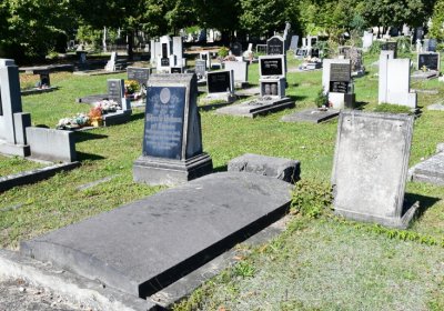 Teplice, Omnium, 2020