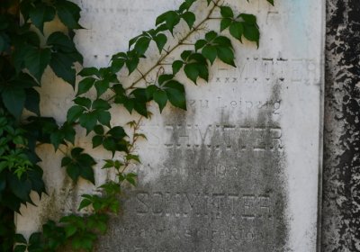 Teplice, Omnium, 2020