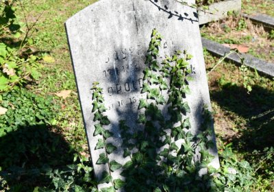 Teplice, Omnium, 2020