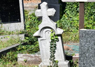 Teplice, Omnium, 2020