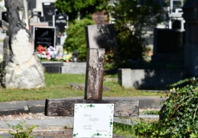 Teplice, Omnium, 2020