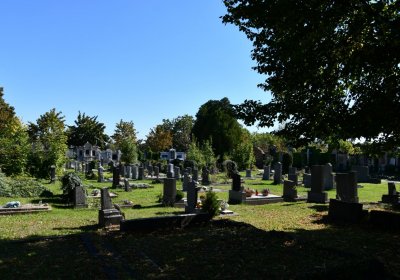 Teplice, Omnium, 2020