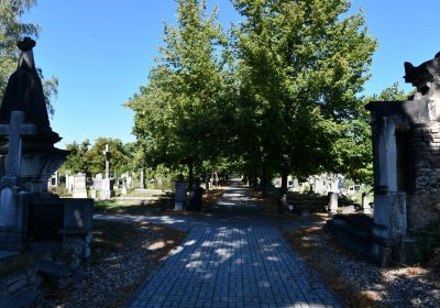 Teplice, Omnium, 2020