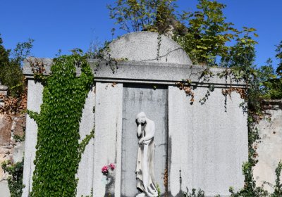 Teplice, Omnium, 2020