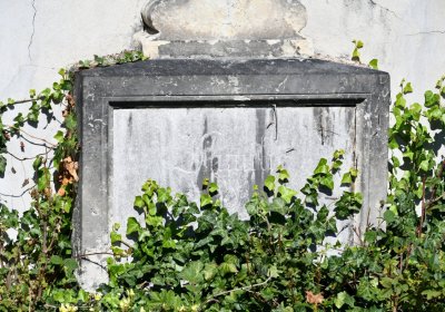 Teplice, Omnium, 2020