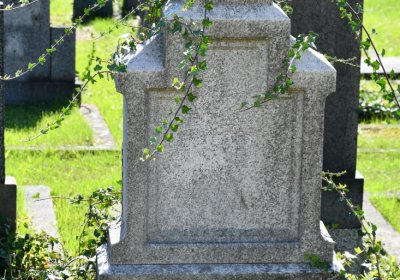 Teplice, Omnium, 2020