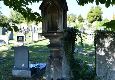 Teplice, Omnium, 2020