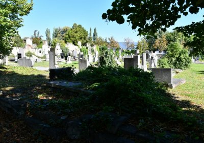 Teplice, Omnium, 2020