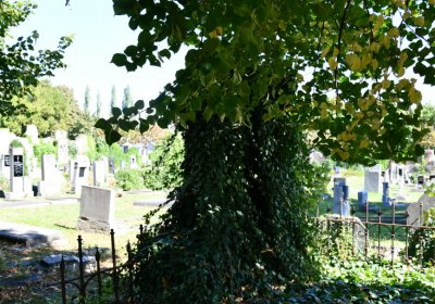 Teplice, Omnium, 2020