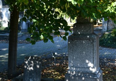 Teplice, Omnium, 2020