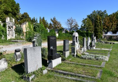 Teplice, Omnium, 2020