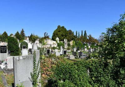 Teplice, Omnium, 2020